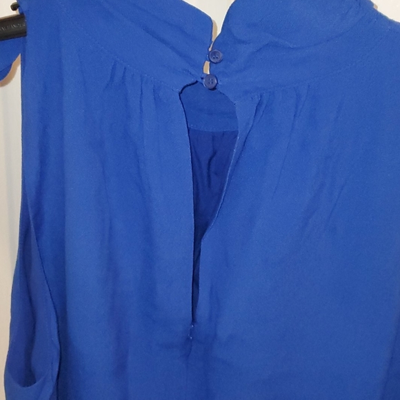 NEW Cobalt Blue Shift Dress - Picture 4 of 5